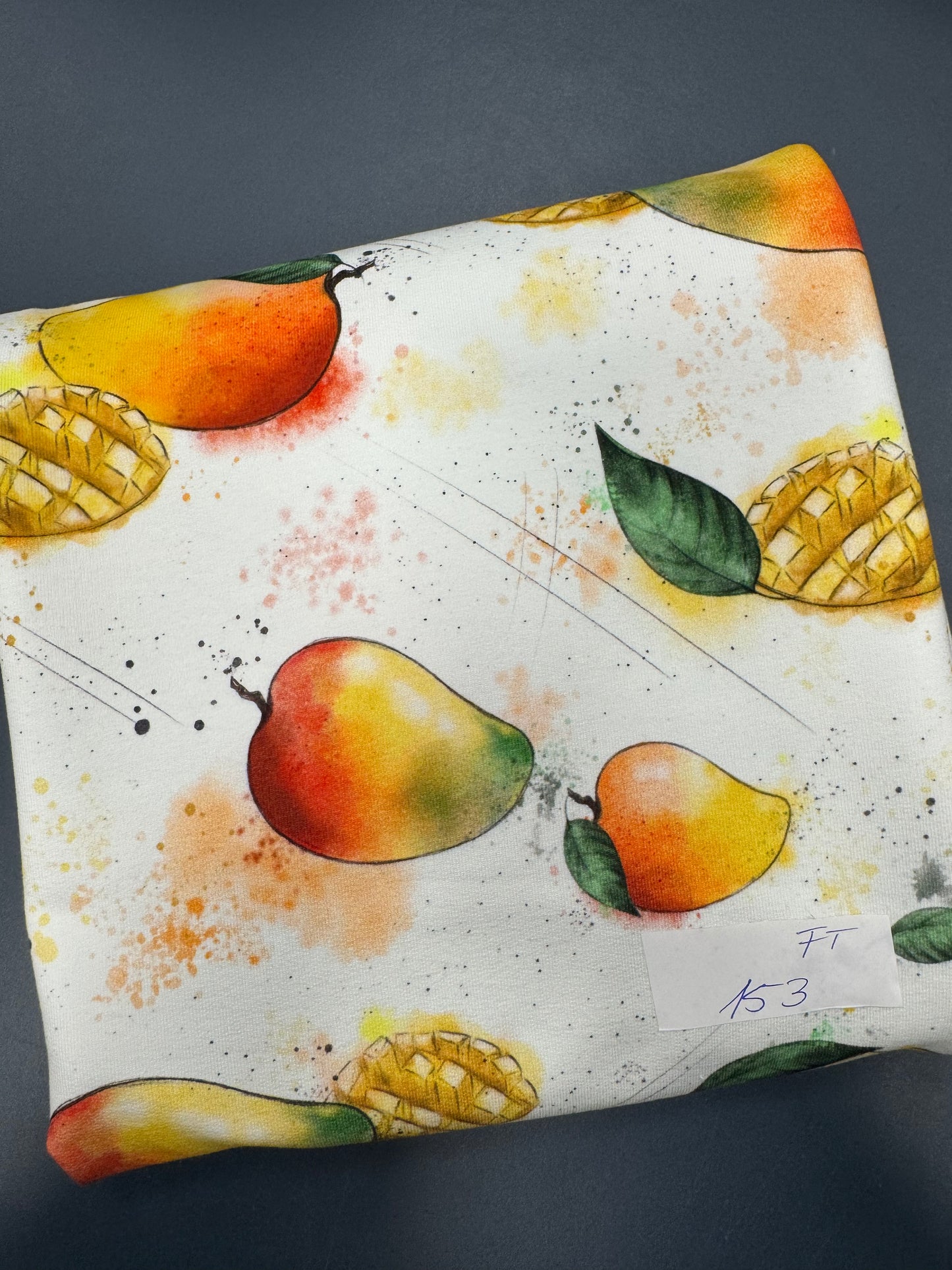 Nr.153 - French Terry 1m