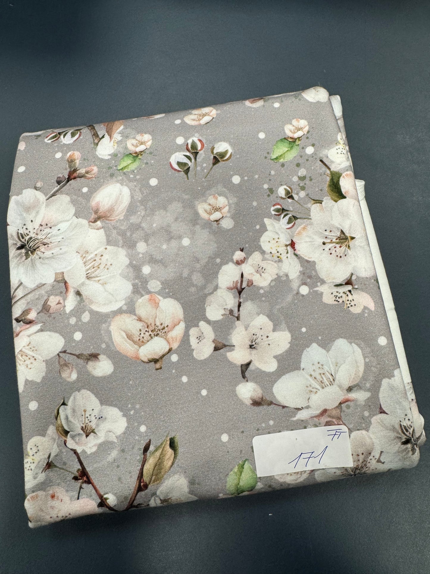 Nr.171 - French Terry 1m